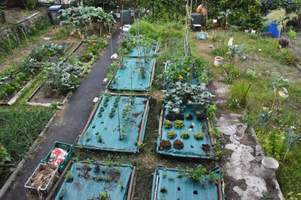 HORTA DE ALDOAR 3