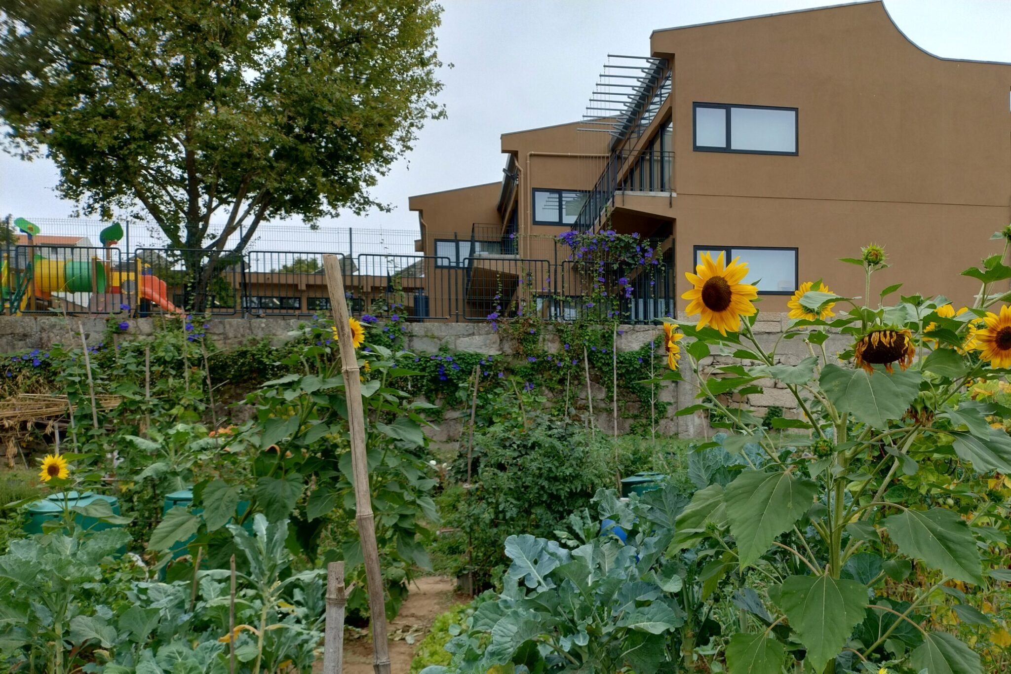 IMG_20240731_151733633_HDR