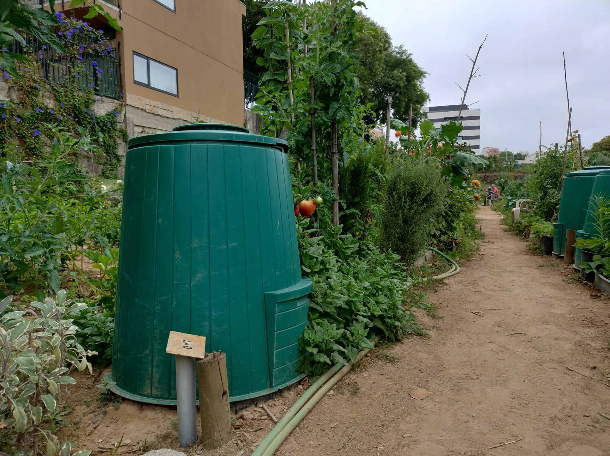 IMG_20240731_151809197_HDR