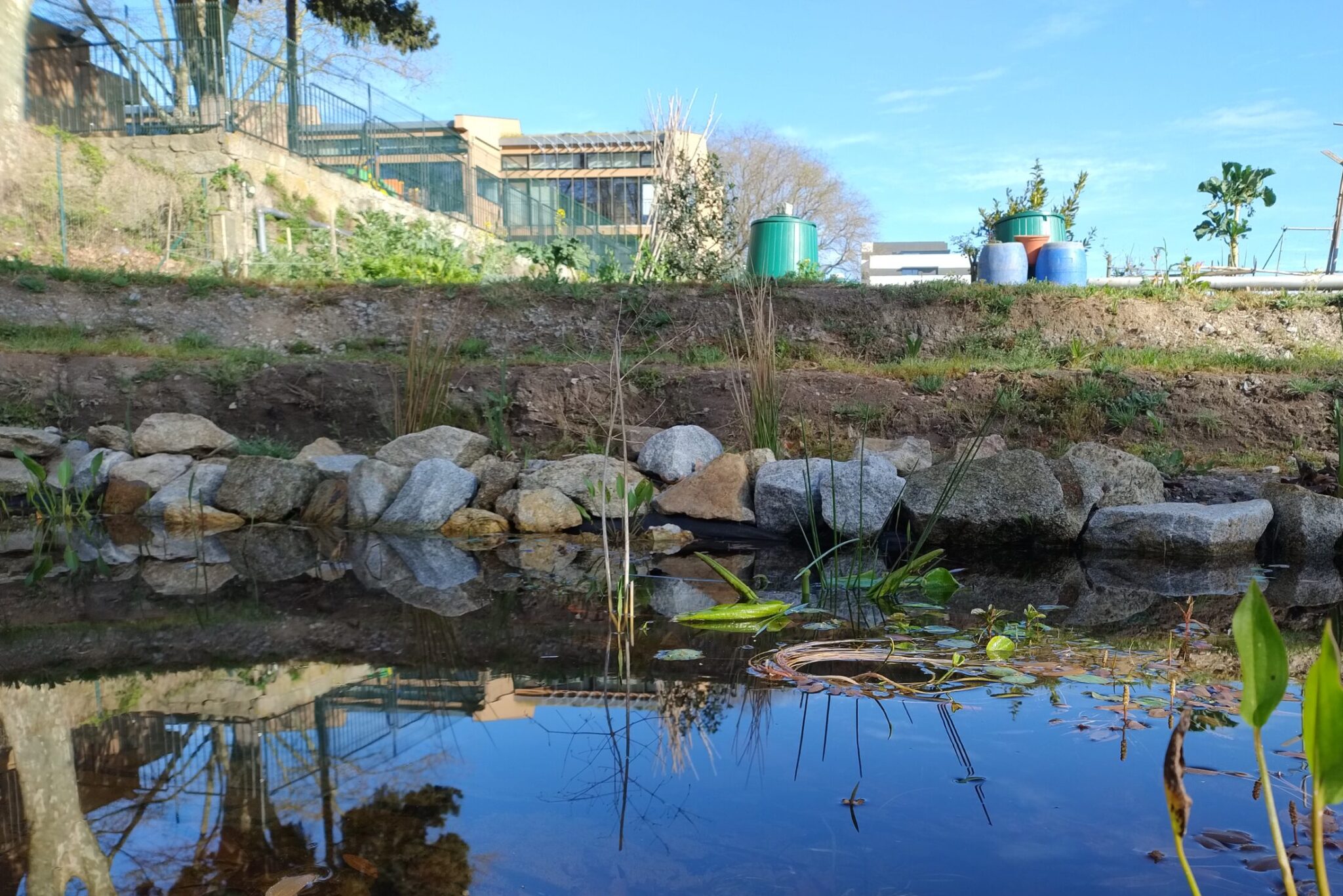 IMG_20250403_092826112