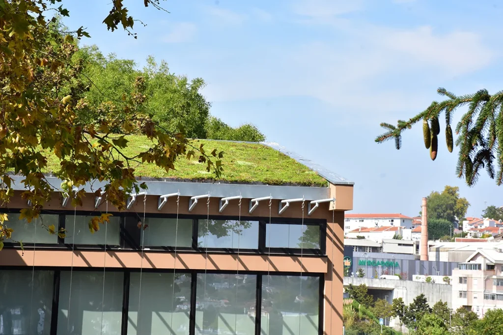 jorge_garcia_roofsgreen_02
