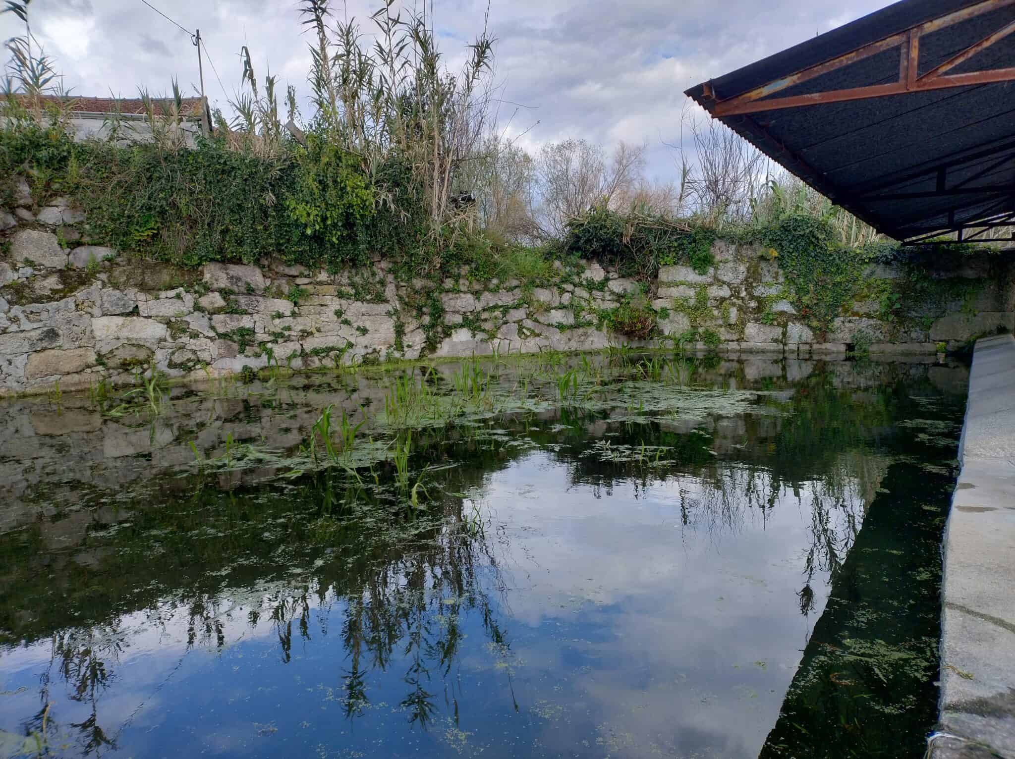 IMG_20250313_143651528_HDR