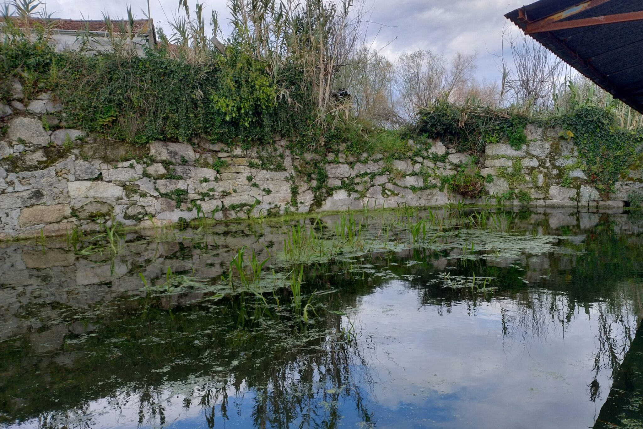 IMG_20250313_143651528_HDR