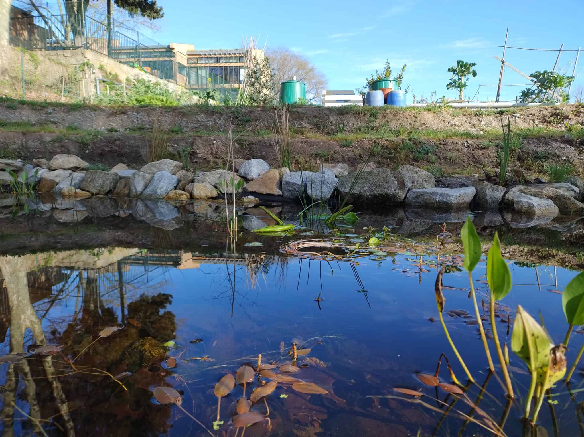 IMG_20250403_092826112