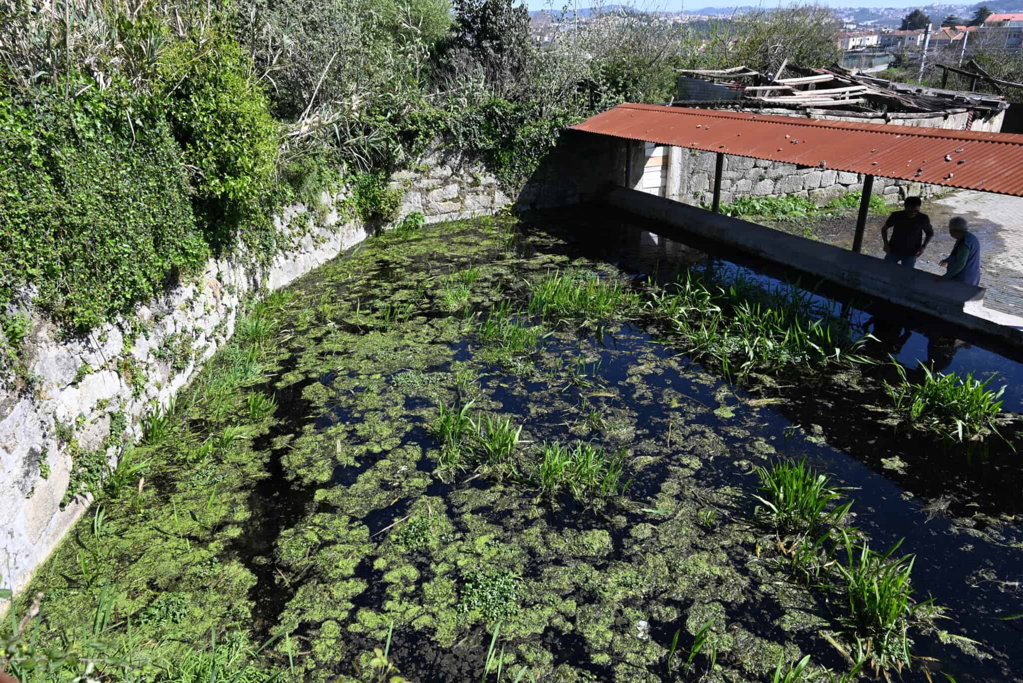 tanque de contumil (2)