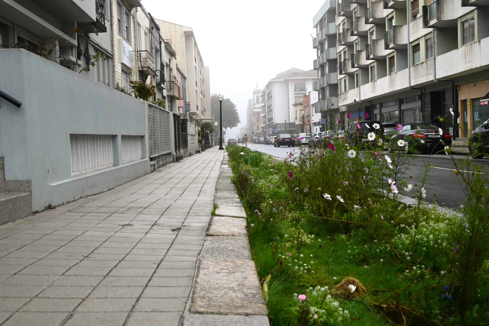 Rua Santos Pousada 1