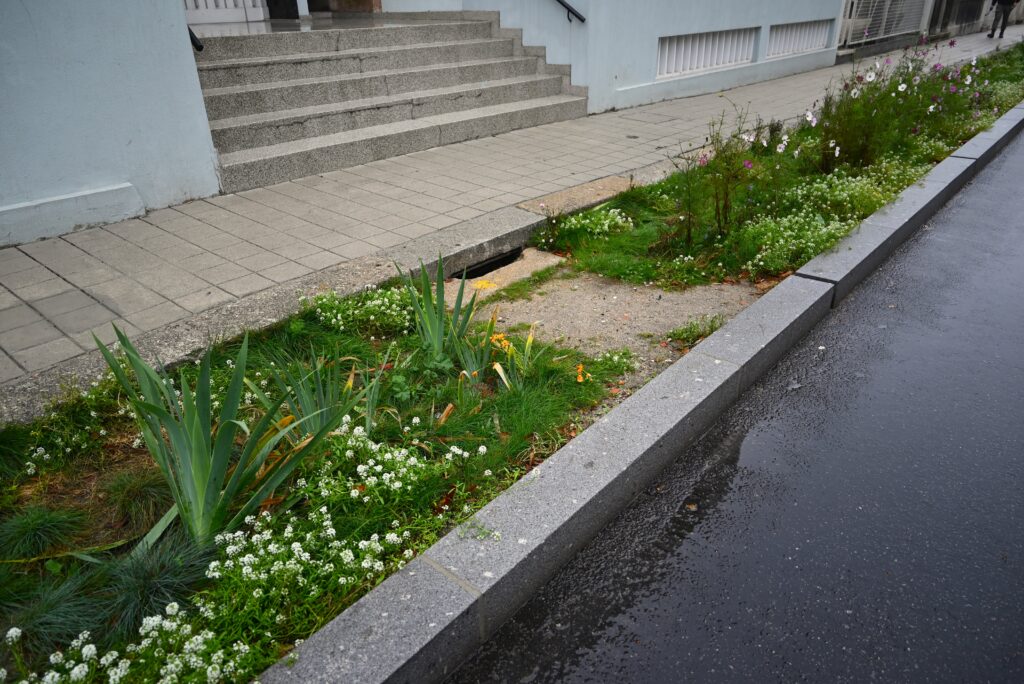 Rua Santos Pousada 2