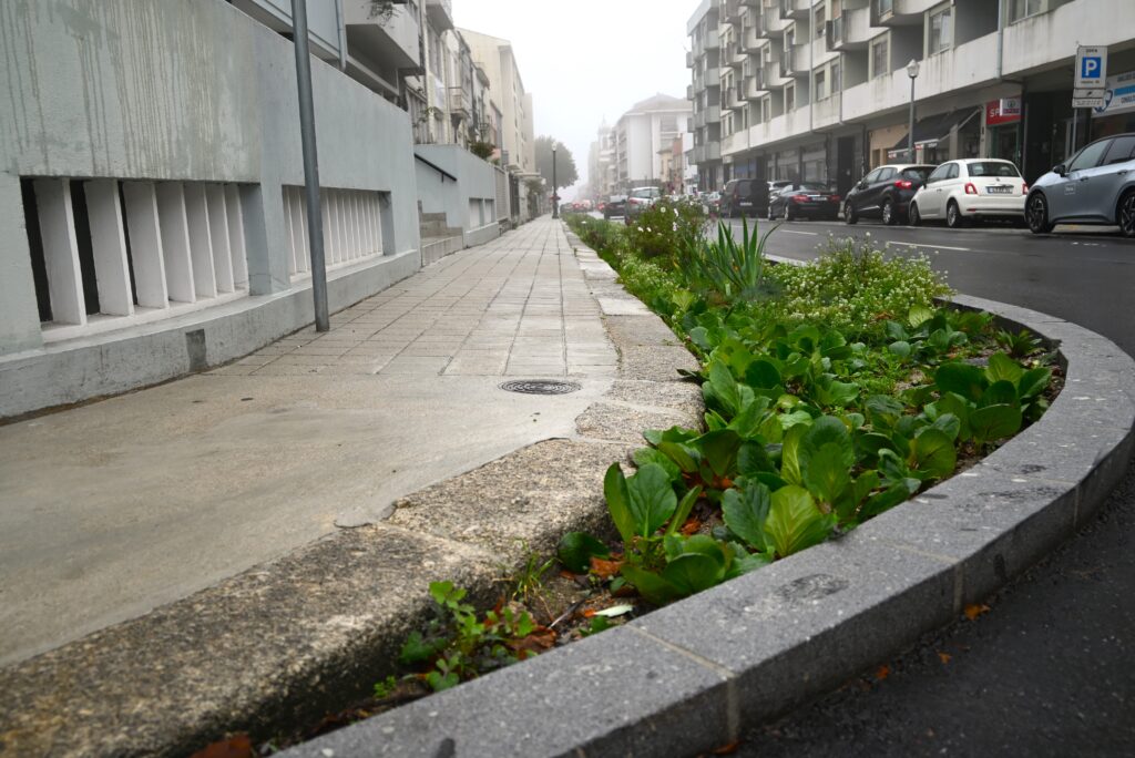 Rua Santos Pousada 4