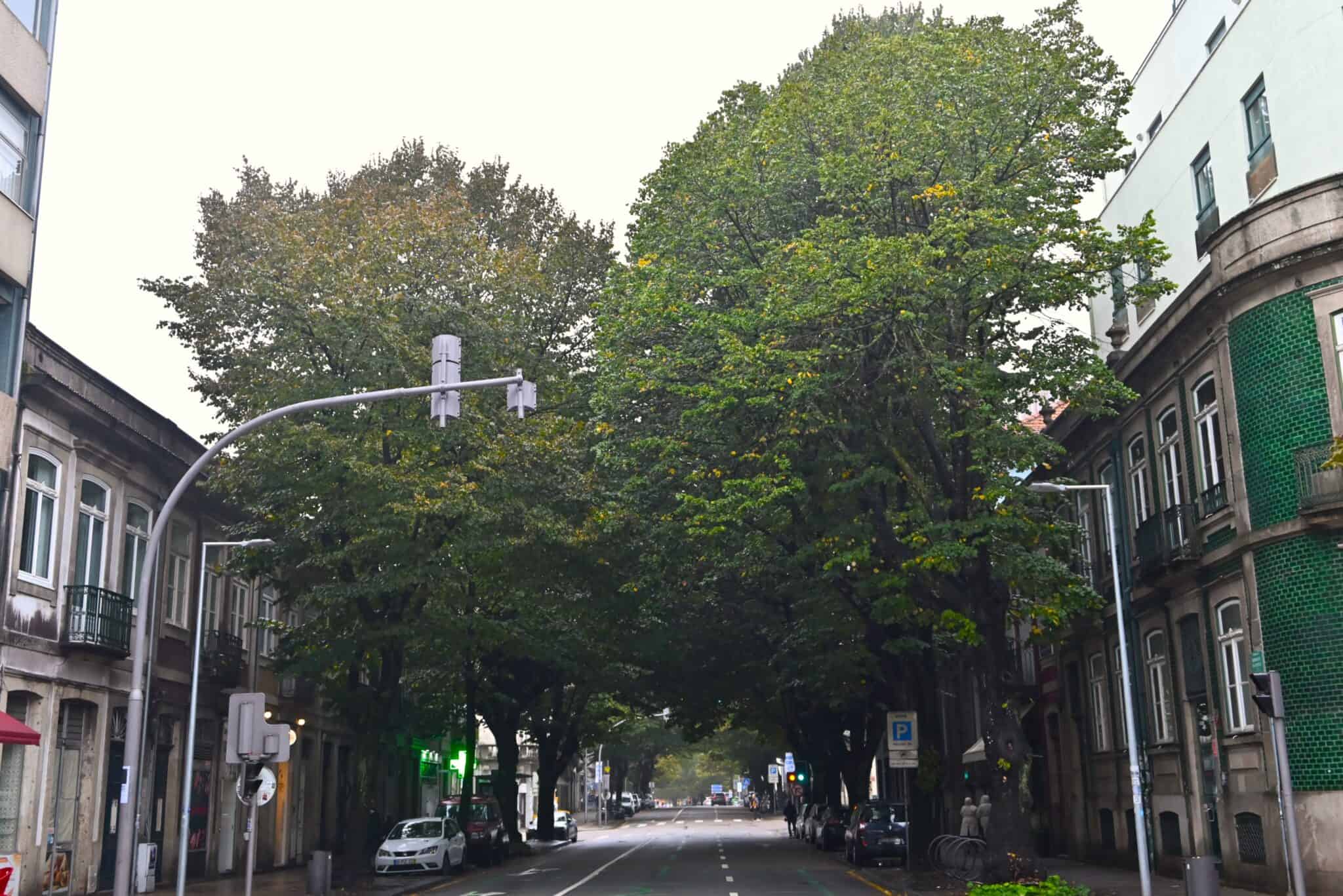 Av. Rodrigues Freitas 3