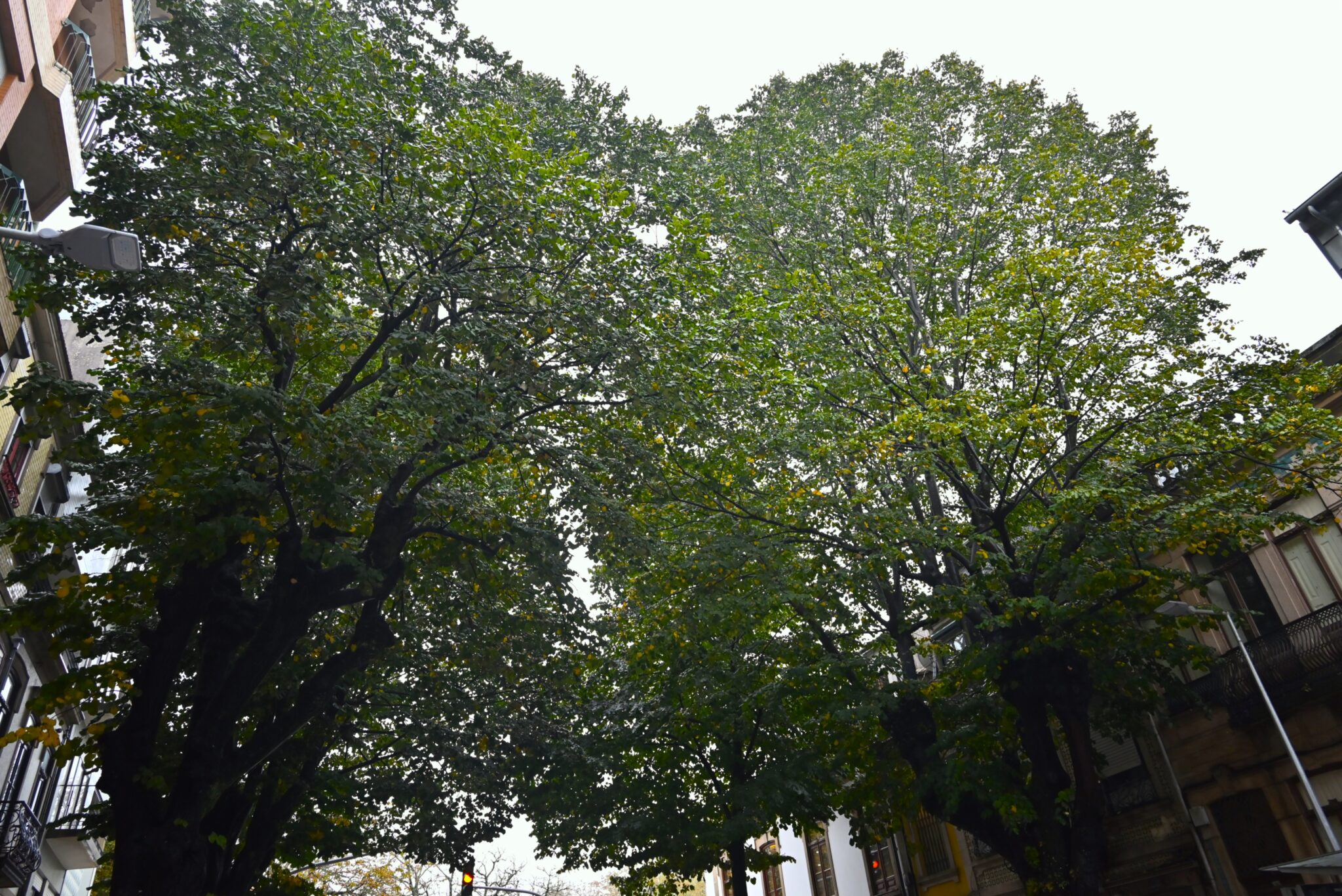 Av. Rodrigues Freitas 4