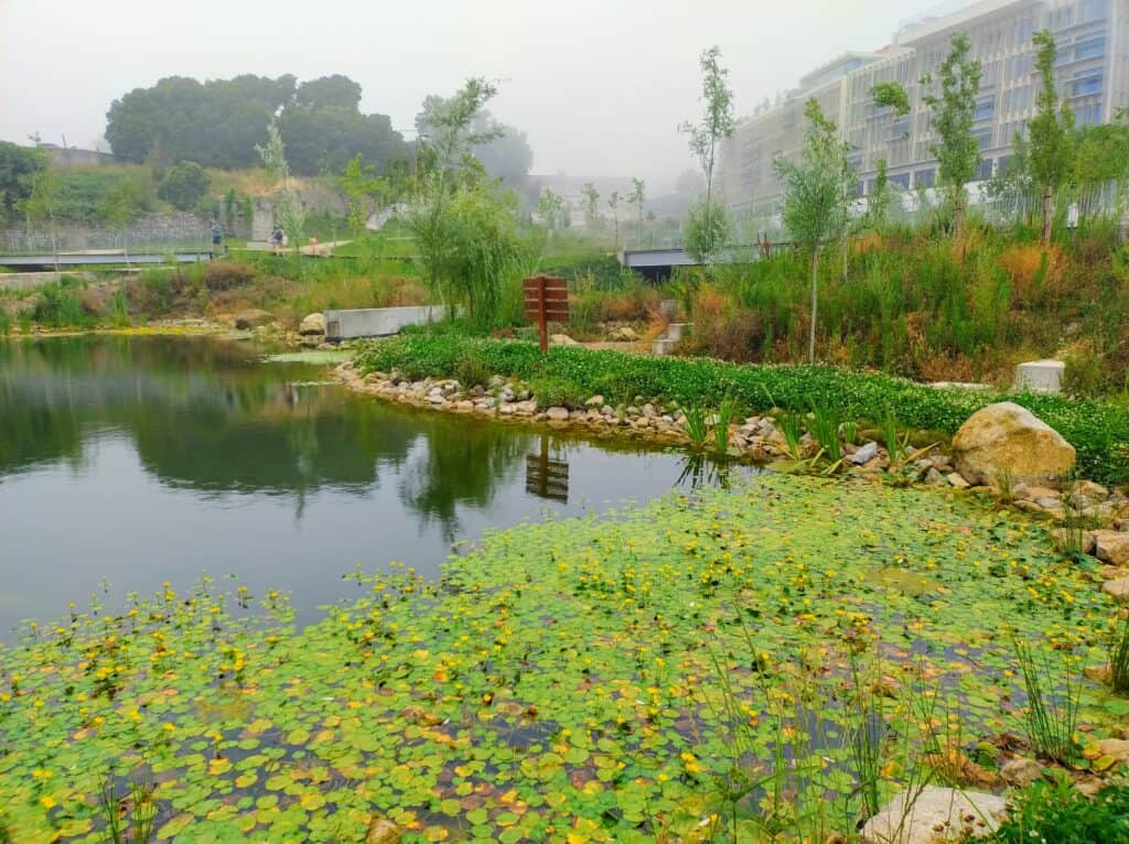 IMG_20250618_091137499-EFFECTS