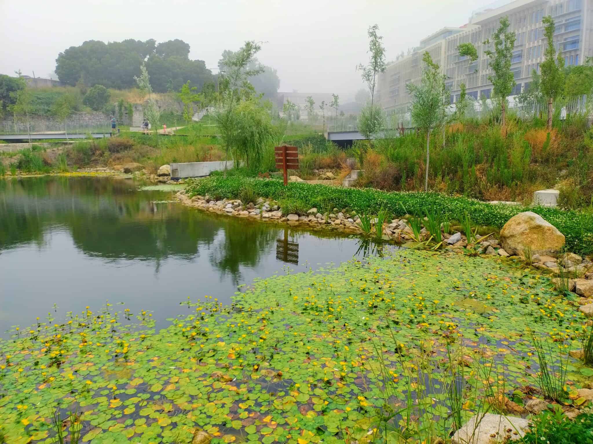 IMG_20250618_091137499-EFFECTS