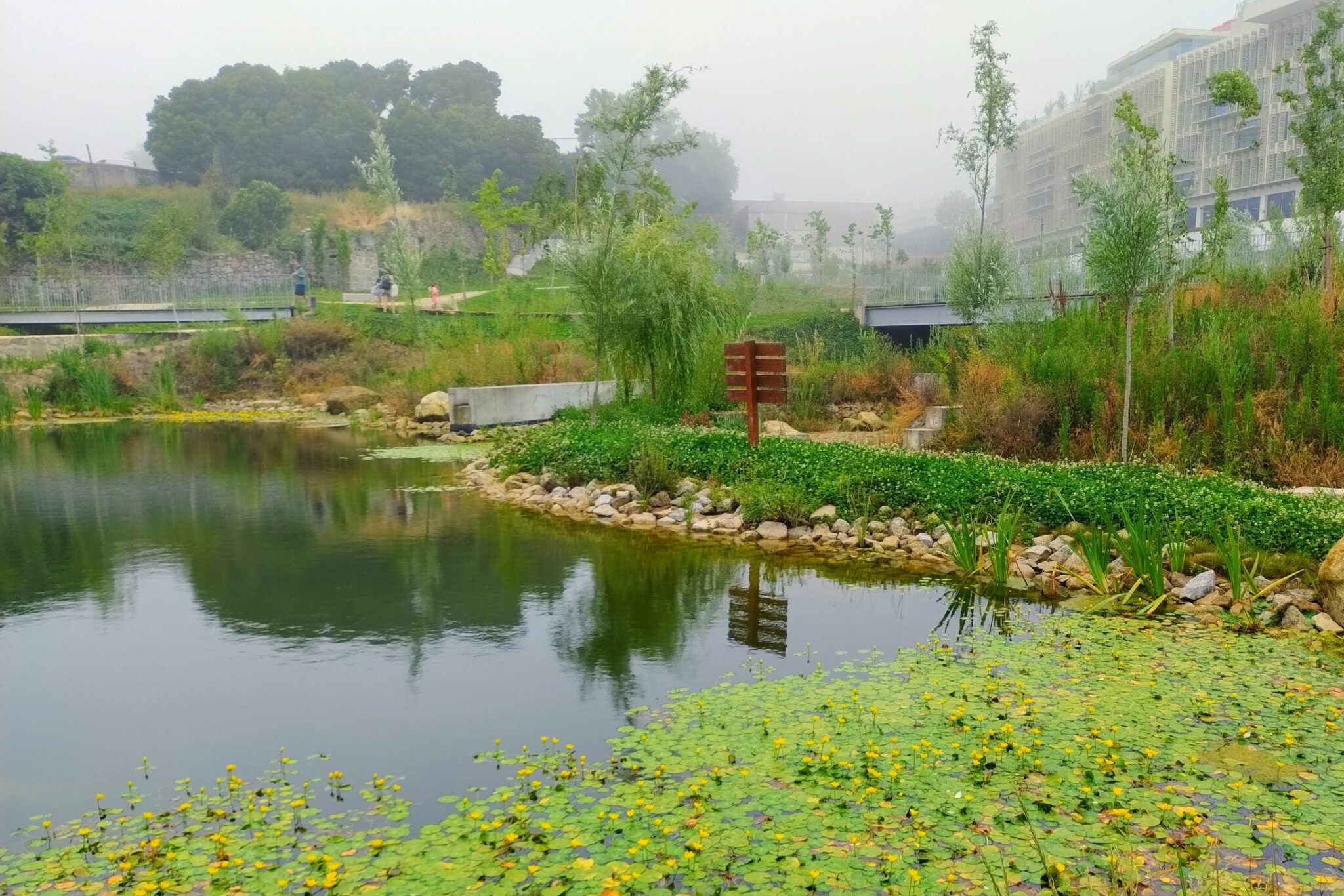 IMG_20250618_091137499-EFFECTS