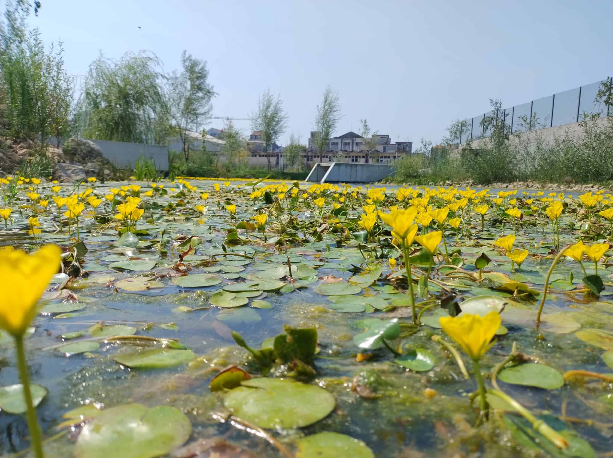 IMG_20250731_112944334