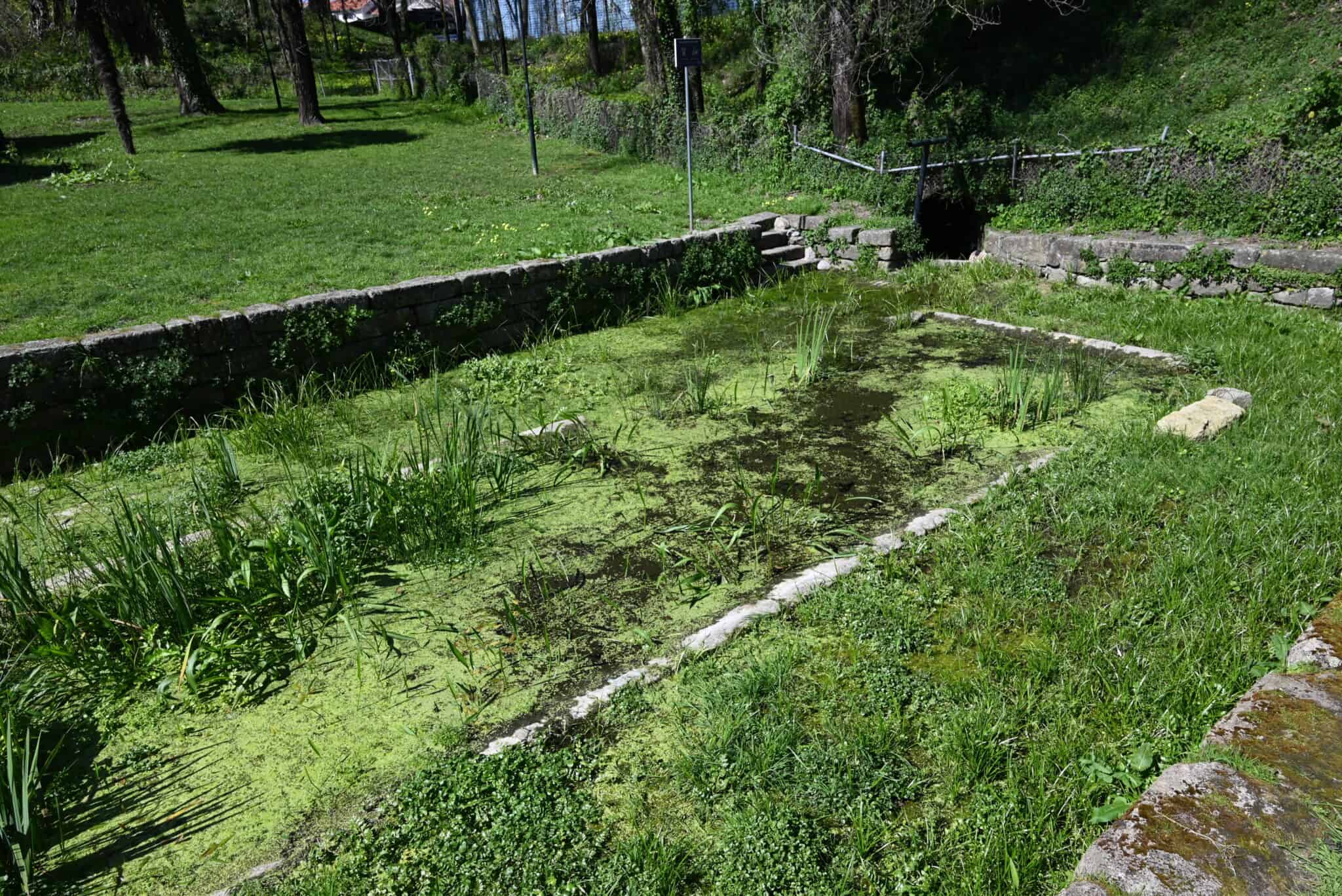 tanque do outeiro (4)