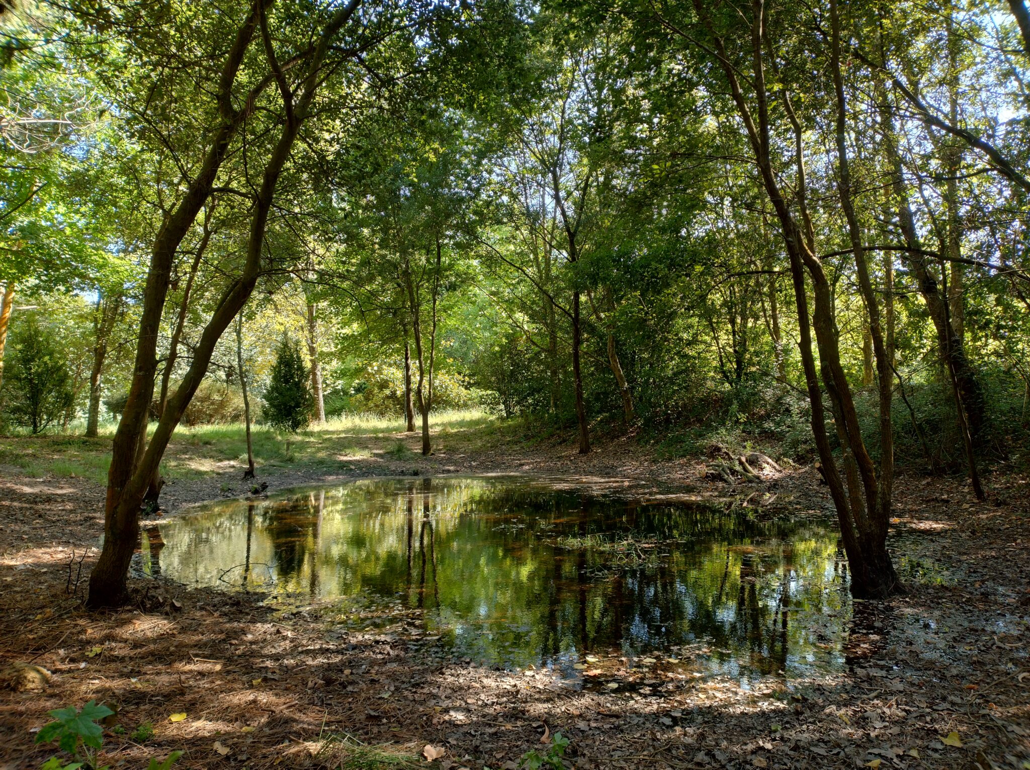 Charco maravilha2