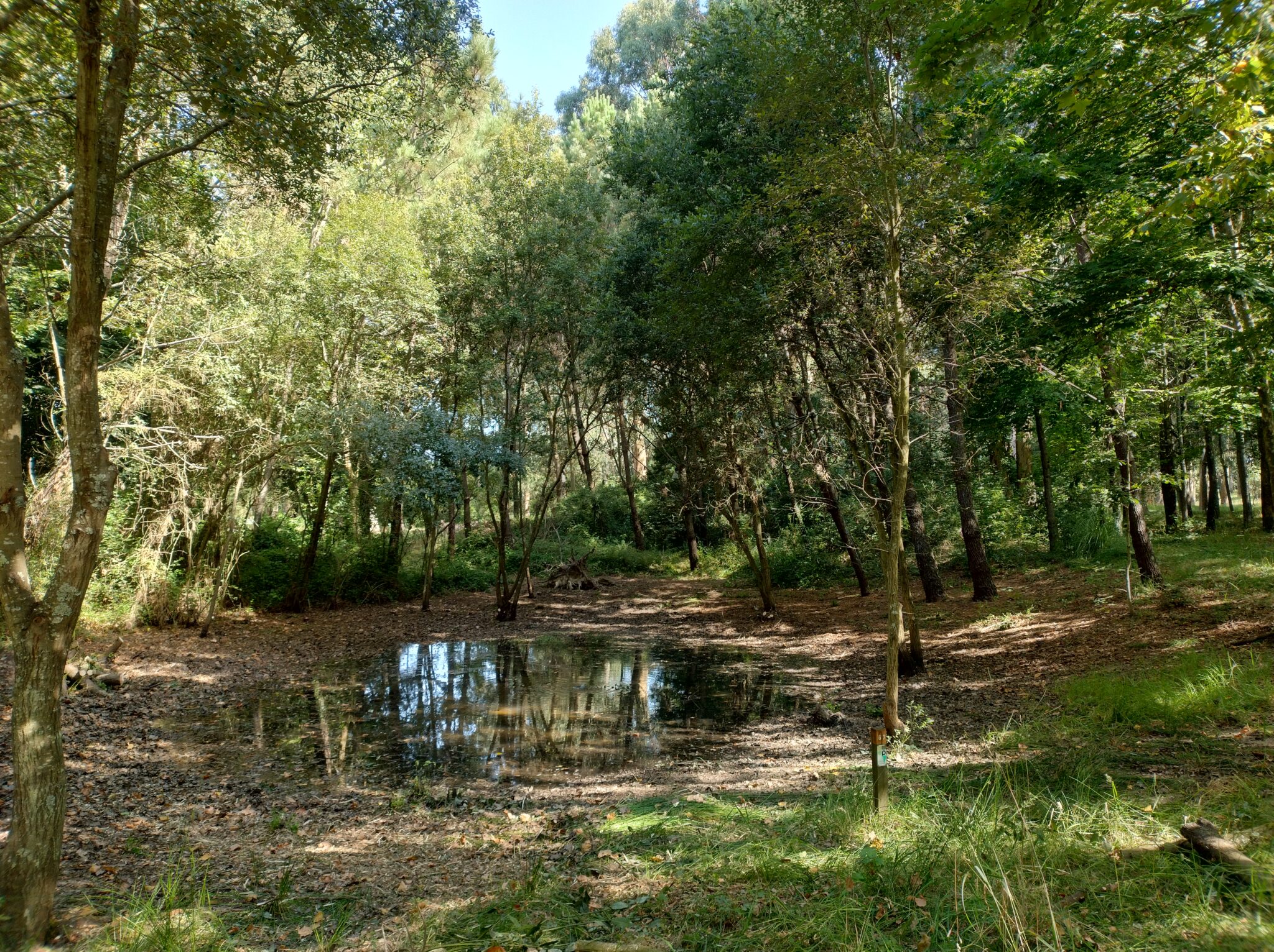Charco maravilha3