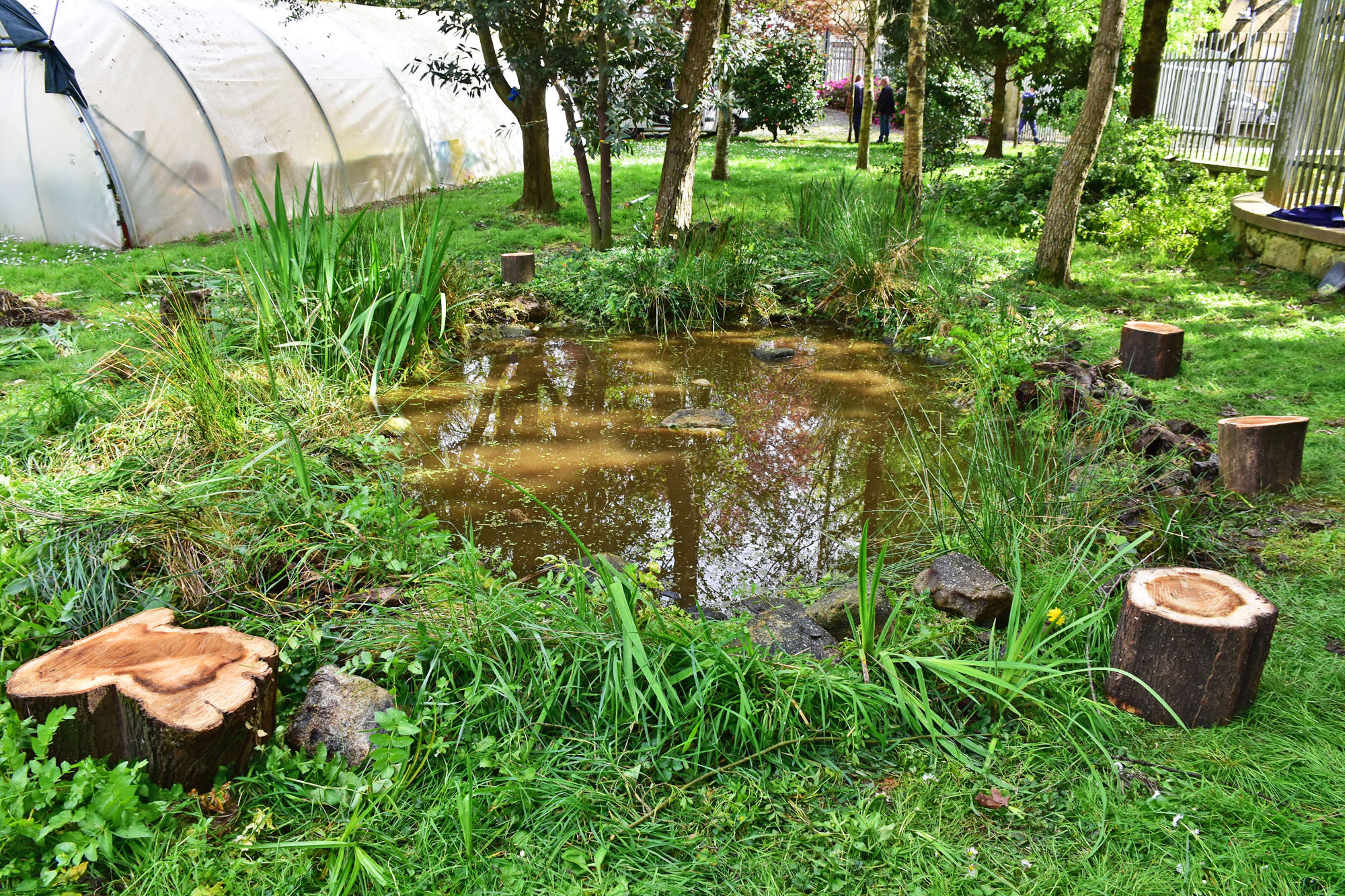 Charco Covelo (3)