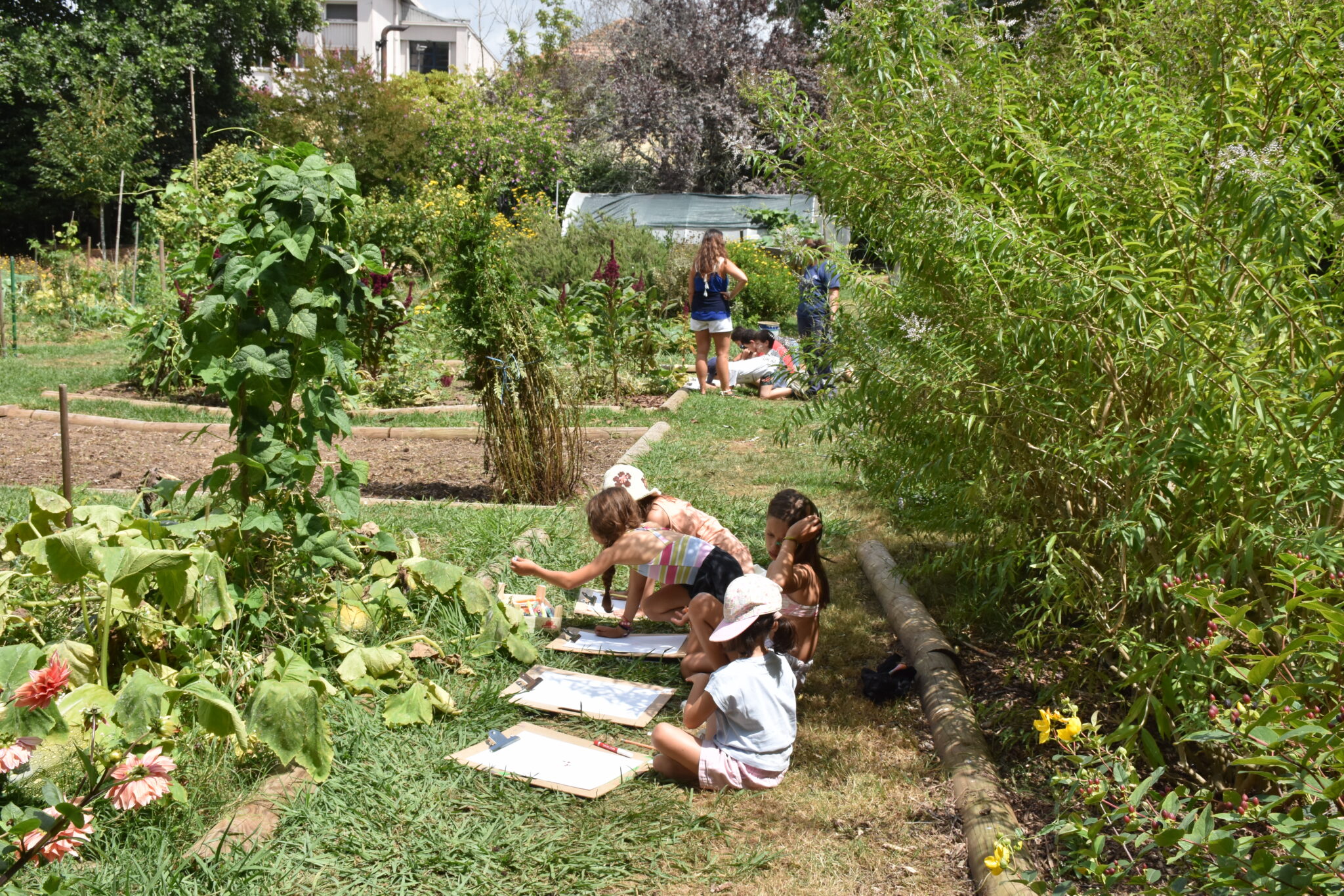 Horta Covelo (1)