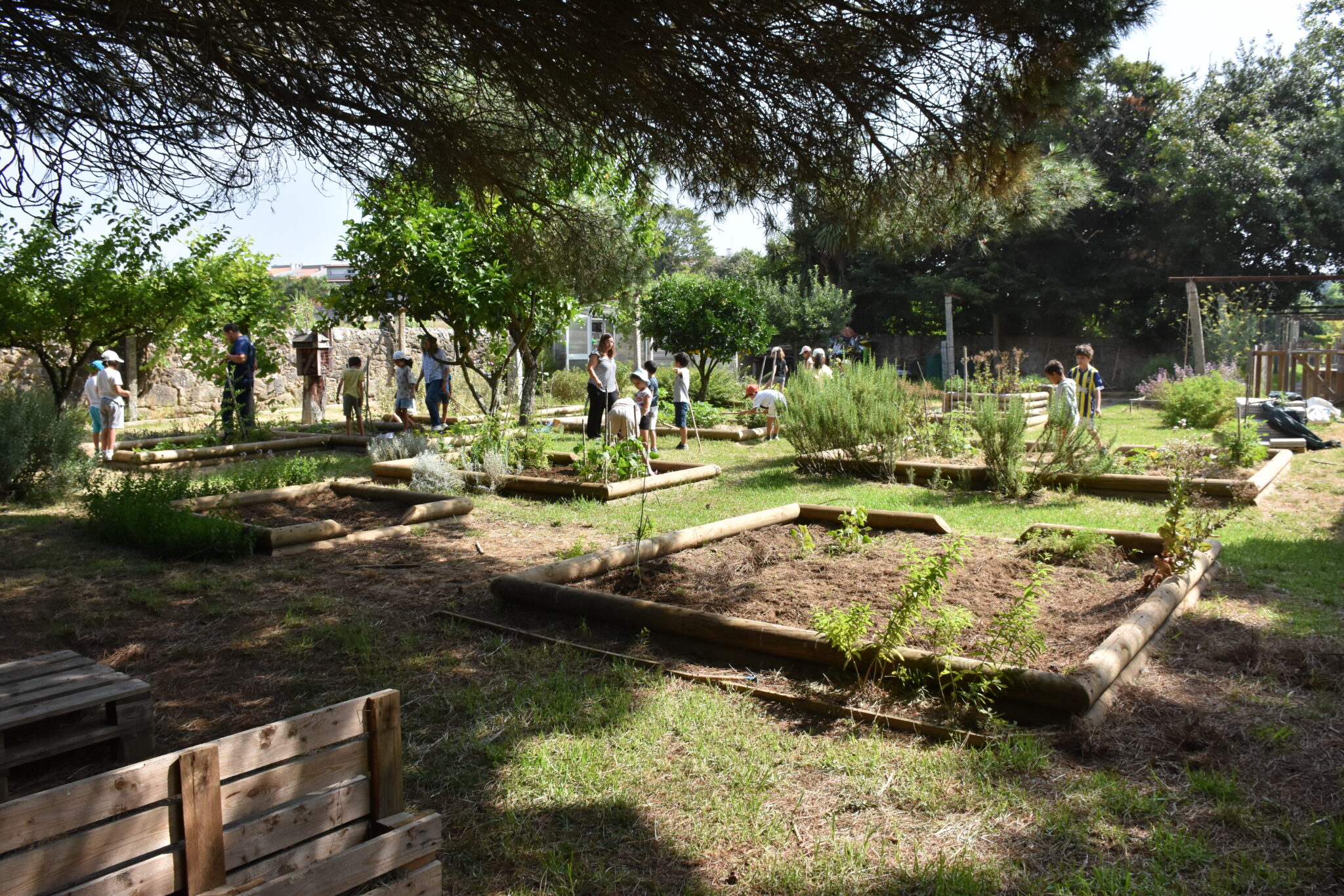 Horta Núcleo Rural (1)