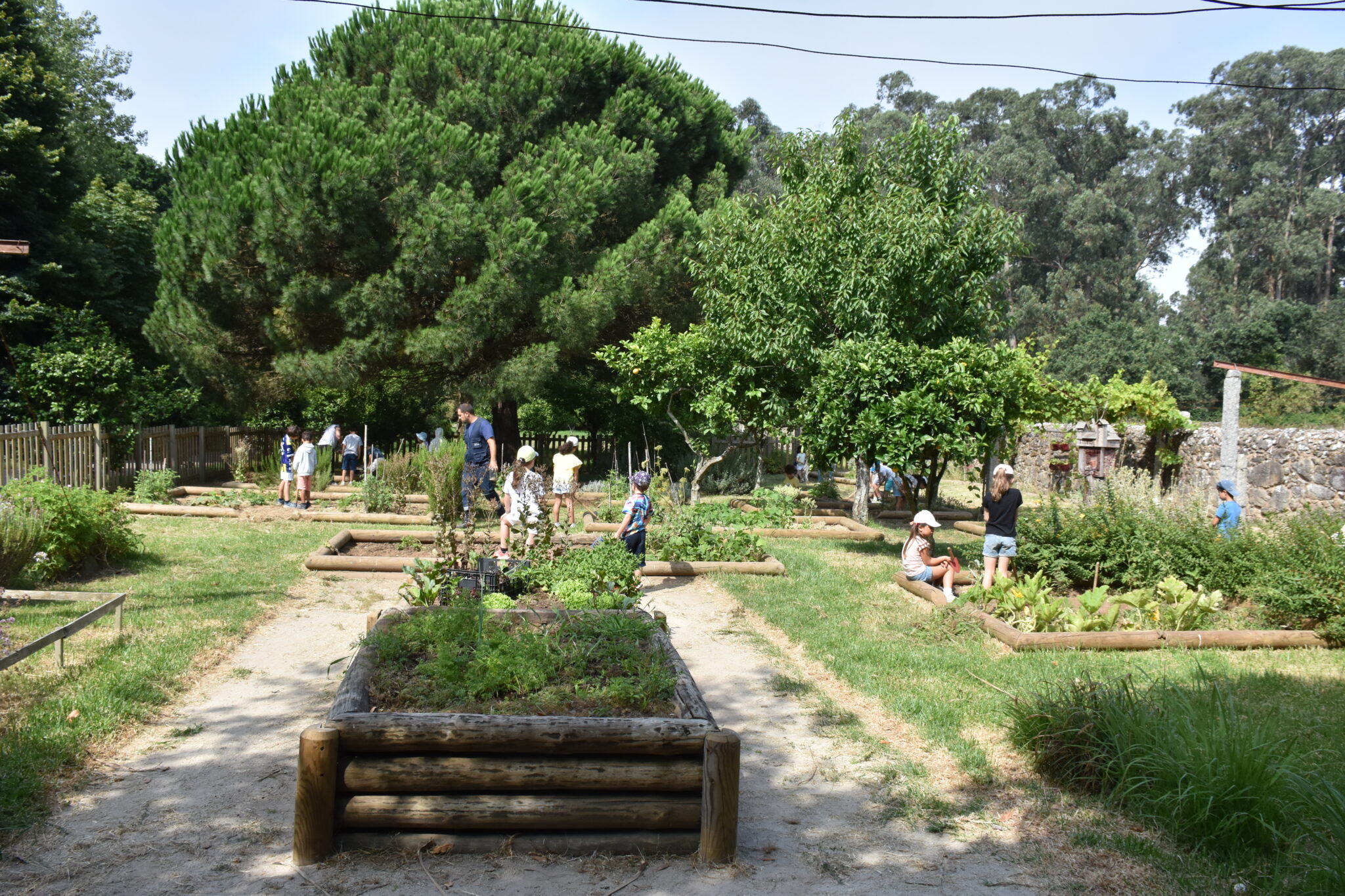 Horta Núcleo Rural (2)